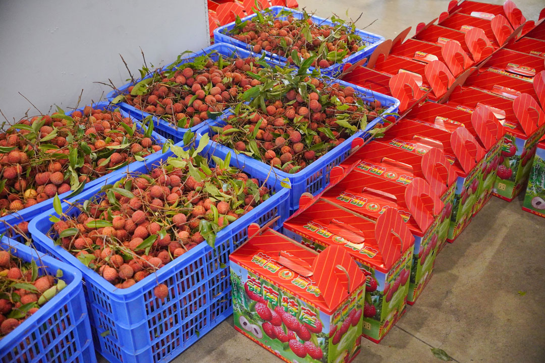 亚洲必赢(Bwin-China)官方网站|Unique Platform